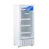 Tủ mát Alaska 250 lít LC-333H 1 cửa mở