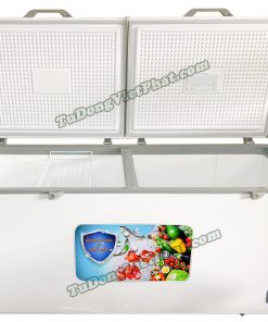Bên trong tủ đông Sumikura SKF-550S