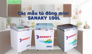 Các mẫu tủ đông mini gia đình Sanaky 100L
