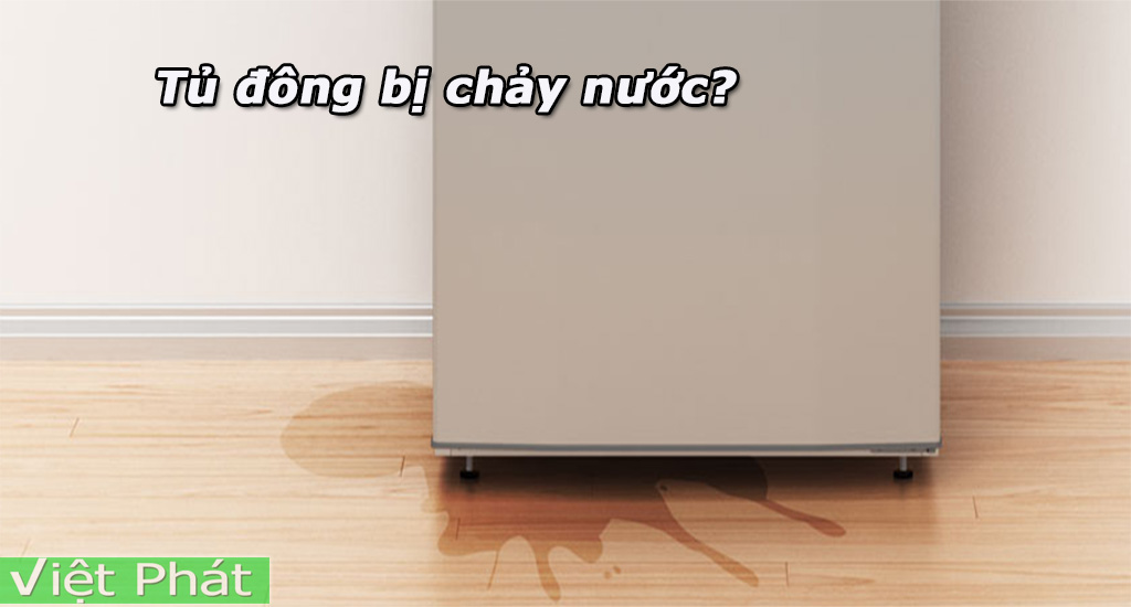 Tủ đông Sanaky bị chảy nước? Nguyên nhân và cách khắc phục