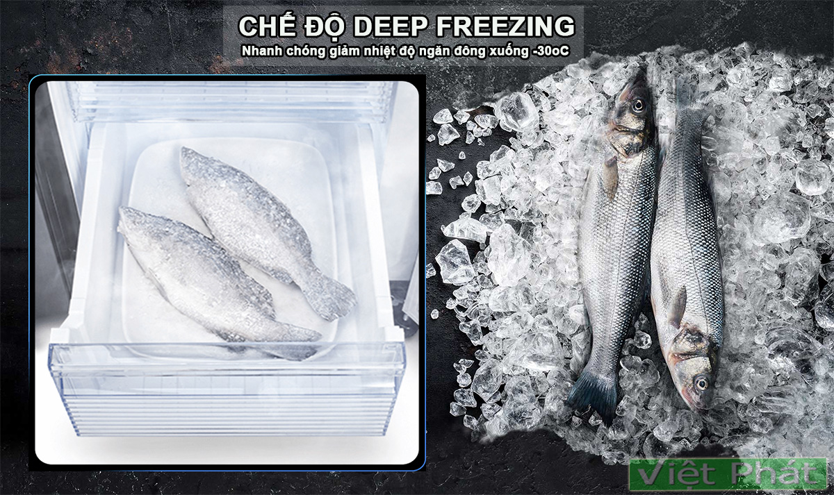 Tủ lạnh Sharp SJ-FXP600VG-BK Deep Freezing