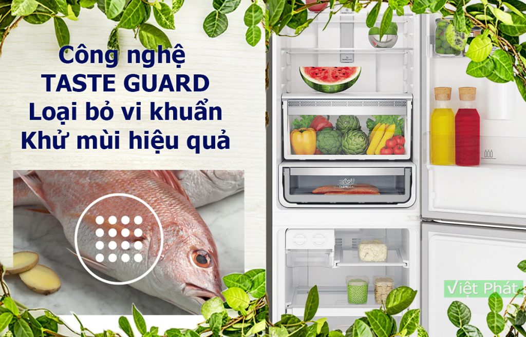 Tủ lạnh Electrolux EBB3702K-A công nghệ lọc khử mùiTủ lạnh Electrolux EBB3702K-A công nghệ lọc khử mùi