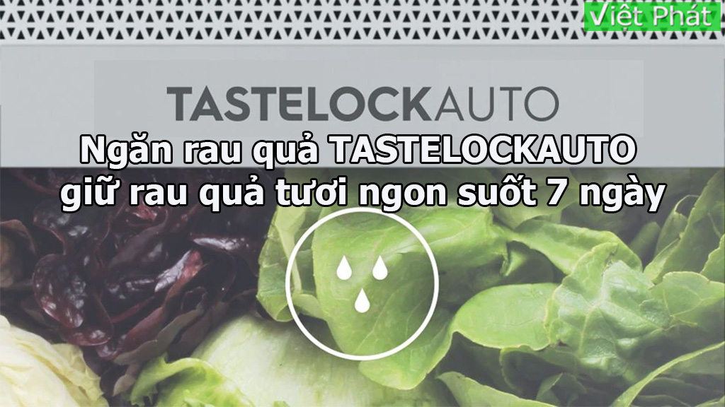 Tủ lạnh Electrolux ETB3440K-A ngăn rau quả TasteLock Auto