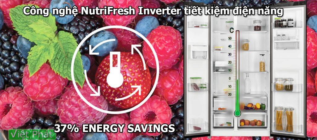 Tủ lạnh Electrolux ESE6141A-BVN 571 lít NutriFresh Inverter