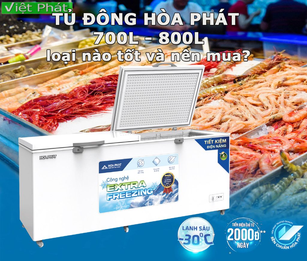 Tủ đông Hòa Phát 700L – 800L loại nào tốt và nên mua?