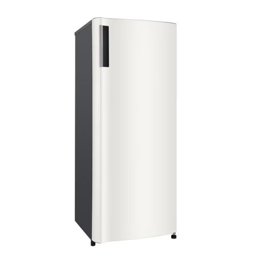 Tủ đông đứng Inverter LG LOF16BGM 165 lít