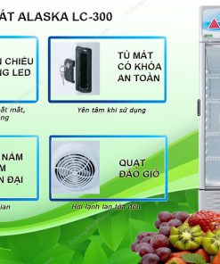 Tiện ích của tủ mát Alaska LC-300