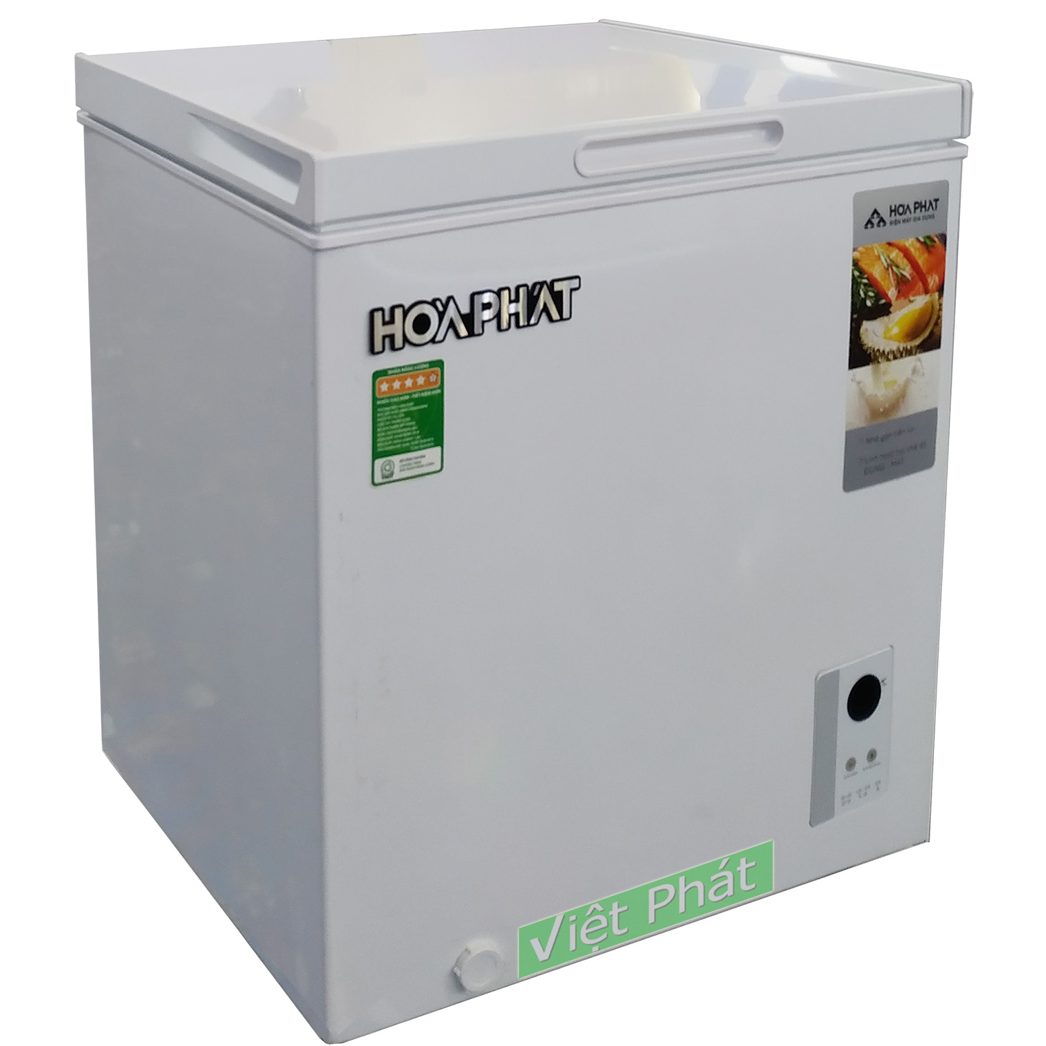 Tủ đông Hòa Phát HPF AN666 66 lít