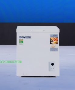 Tủ đông Hòa Phát HPF AN666 66 lít