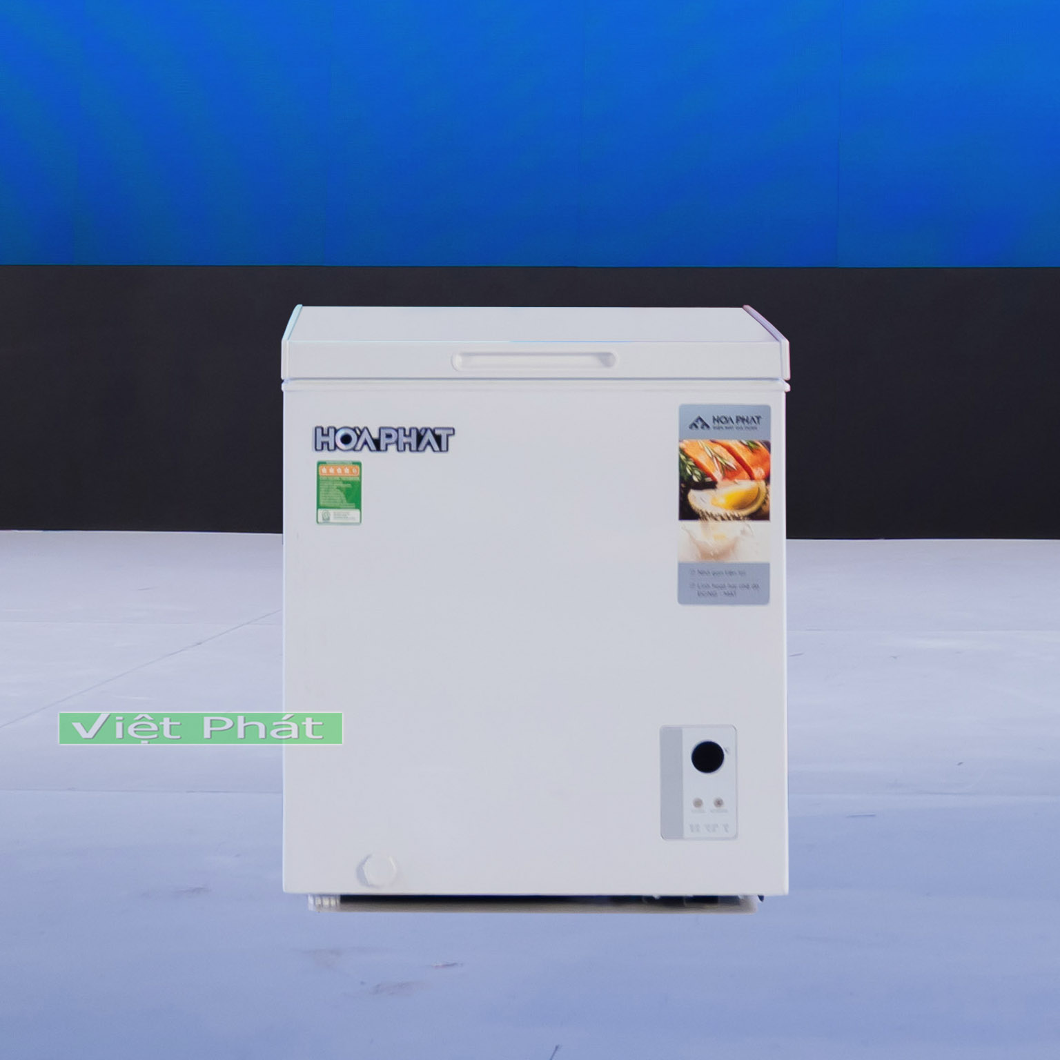 Tủ đông Hòa Phát HPF AN666 66 lít